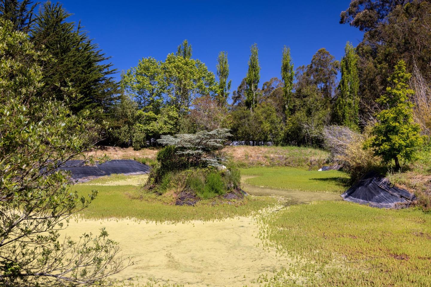 Detail Gallery Image 45 of 51 For 1770 Higgins Canyon Rd, Half Moon Bay,  CA 94019 - – Beds | – Baths