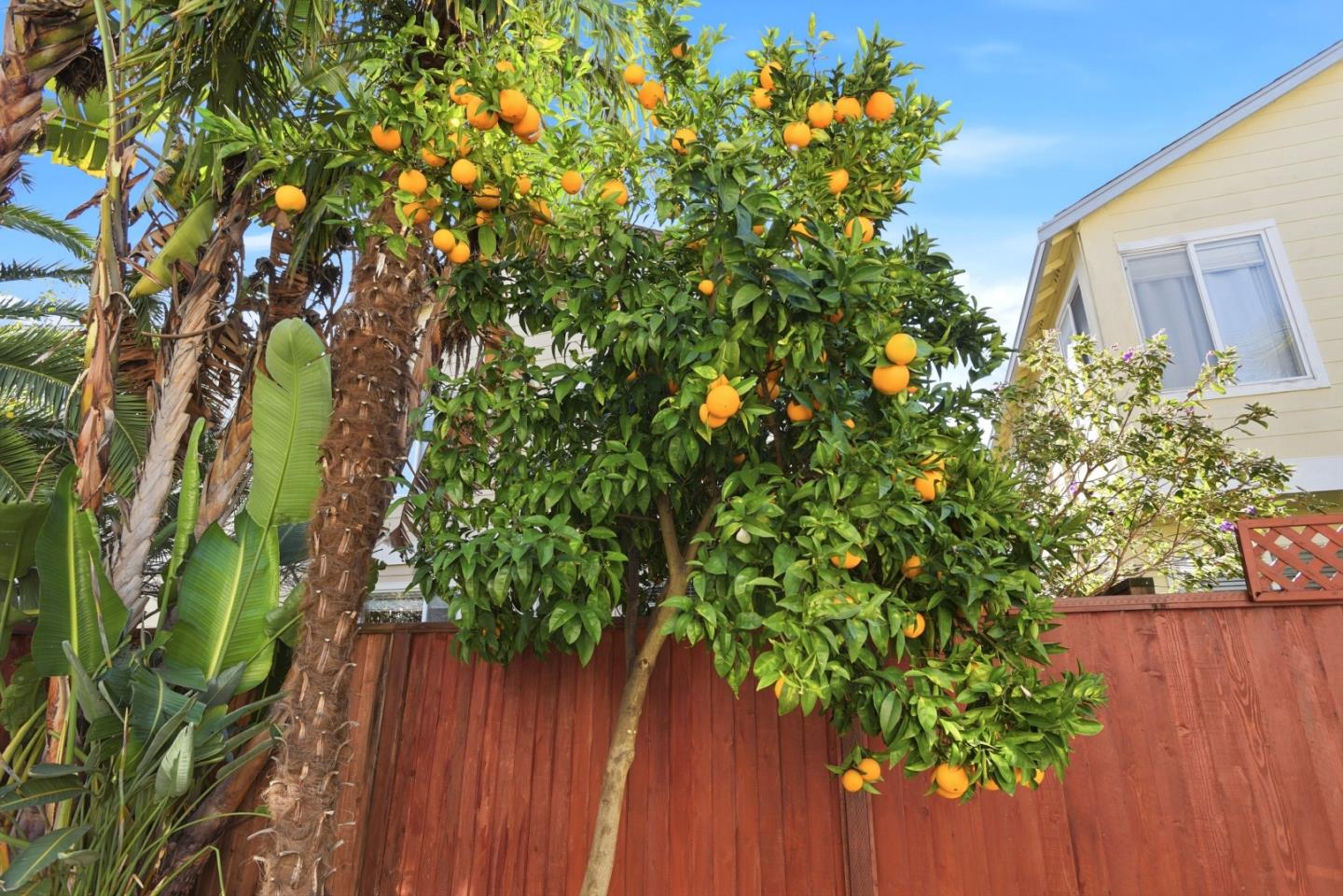 Detail Gallery Image 57 of 63 For 928 Wilks St, East Palo Alto,  CA 94303 - 4 Beds | 2/1 Baths