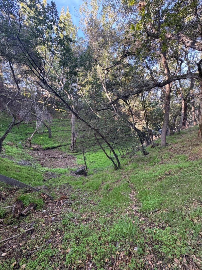 Detail Gallery Image 5 of 10 For 0 Parrott Dr, San Mateo,  CA 94402 - – Beds | – Baths