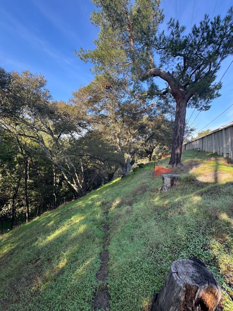 Detail Gallery Image 6 of 10 For 0 Parrott Dr, San Mateo,  CA 94402 - – Beds | – Baths