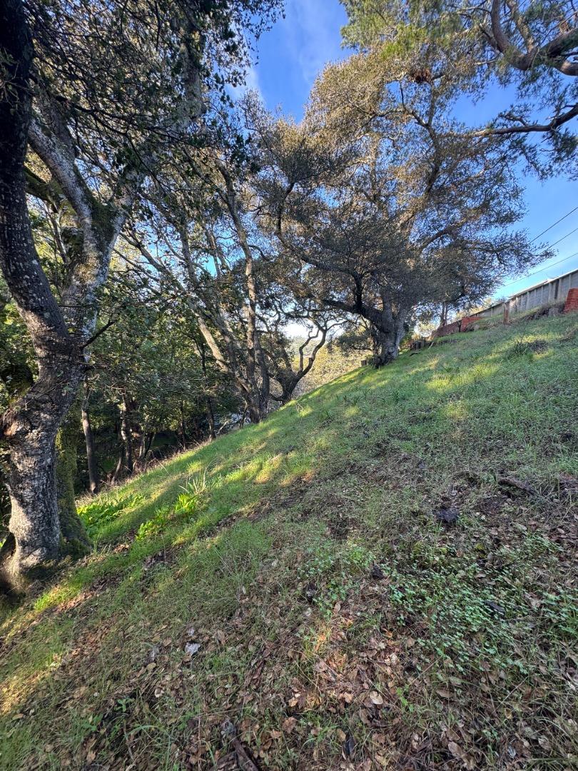 Detail Gallery Image 7 of 10 For 0 Parrott Dr, San Mateo,  CA 94402 - – Beds | – Baths