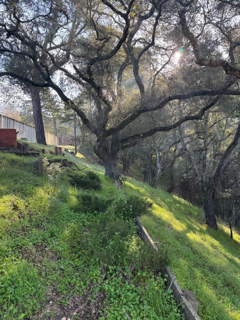 Detail Gallery Image 9 of 10 For 0 Parrott Dr, San Mateo,  CA 94402 - – Beds | – Baths