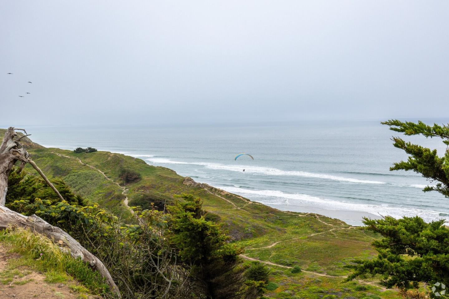 Detail Gallery Image 101 of 116 For 750 Beechwood Dr, Daly City,  CA 94015 - 4 Beds | 2 Baths
