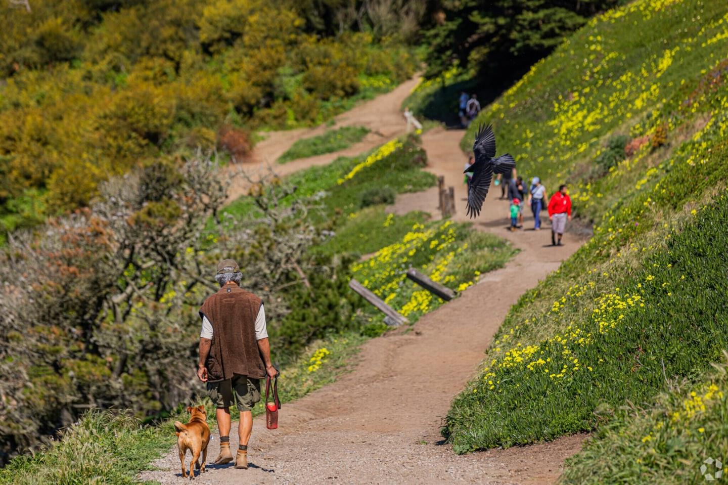 Detail Gallery Image 106 of 116 For 750 Beechwood Dr, Daly City,  CA 94015 - 4 Beds | 2 Baths
