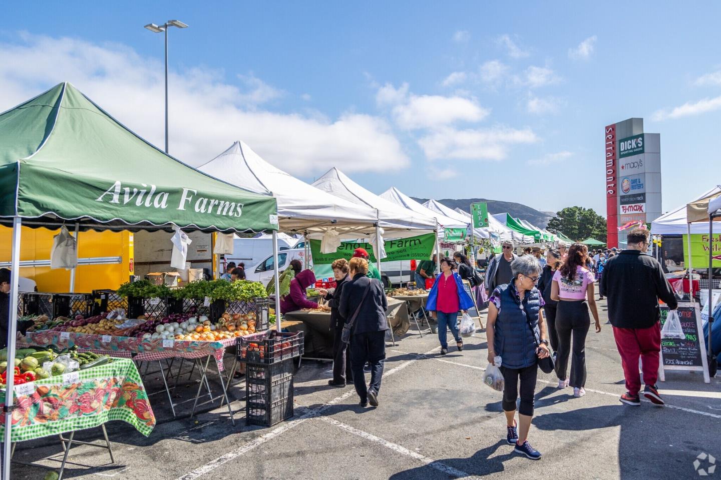 Detail Gallery Image 111 of 116 For 750 Beechwood Dr, Daly City,  CA 94015 - 4 Beds | 2 Baths