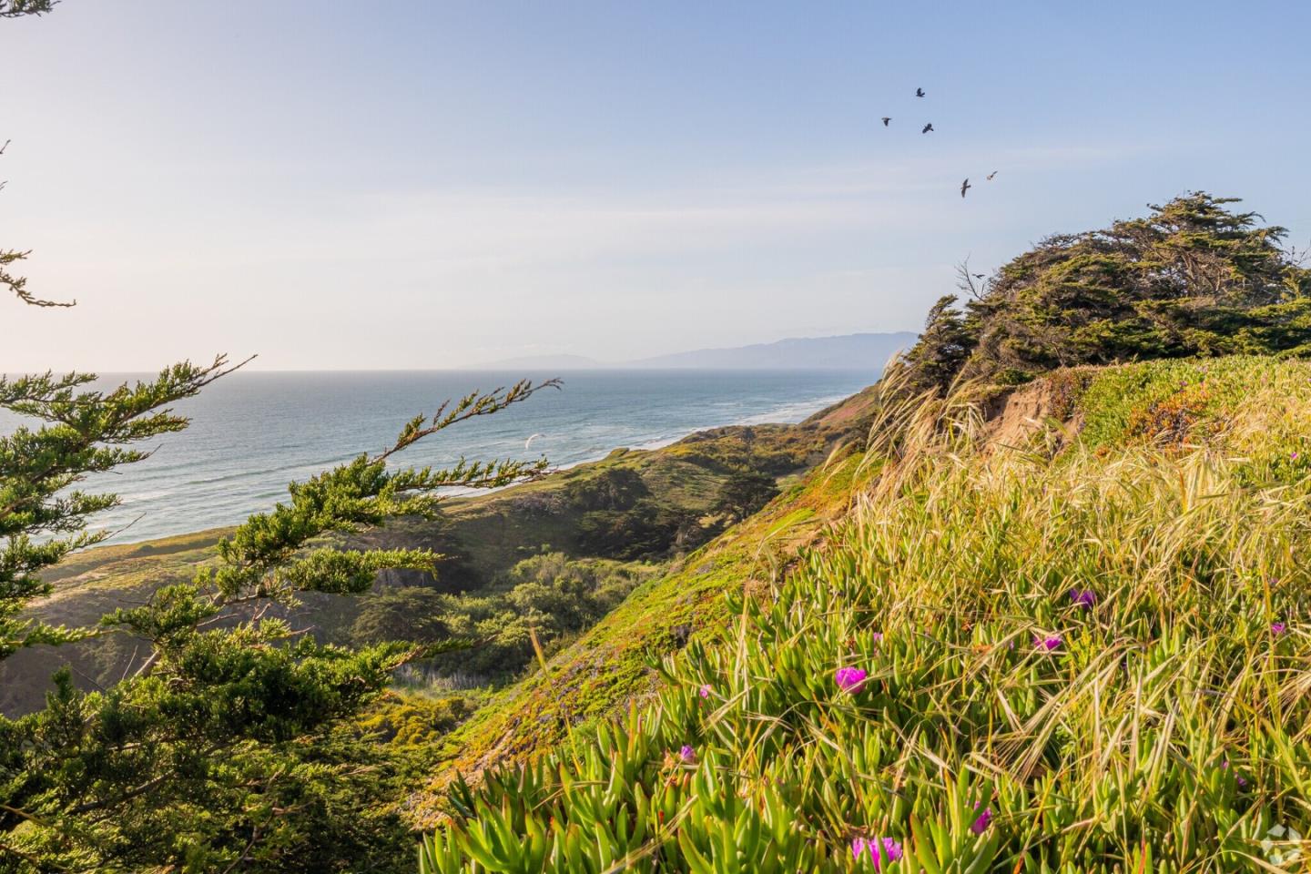 Detail Gallery Image 116 of 116 For 750 Beechwood Dr, Daly City,  CA 94015 - 4 Beds | 2 Baths
