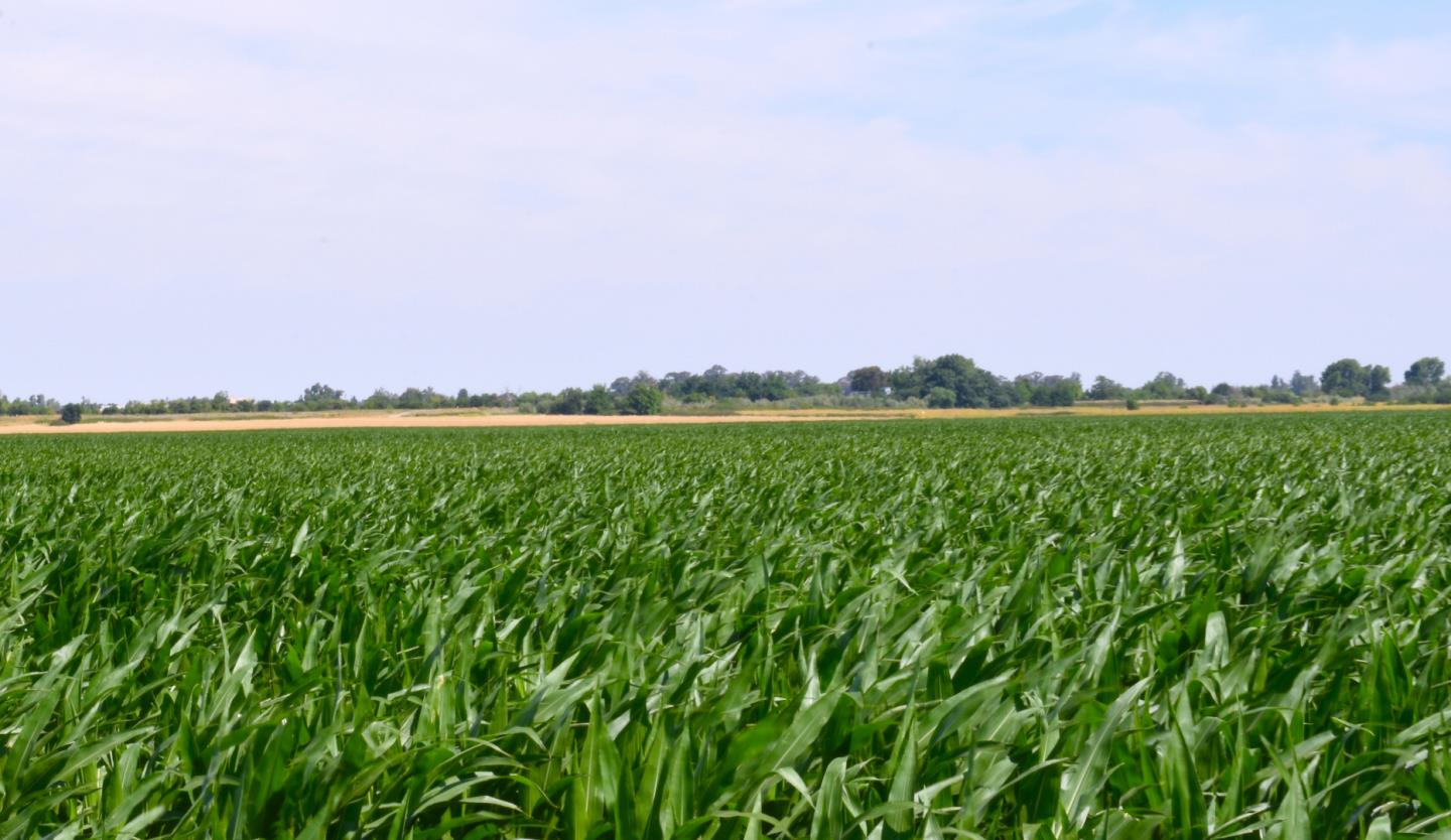 112 Holiday Drive, La Selva Beach, CA, 95076