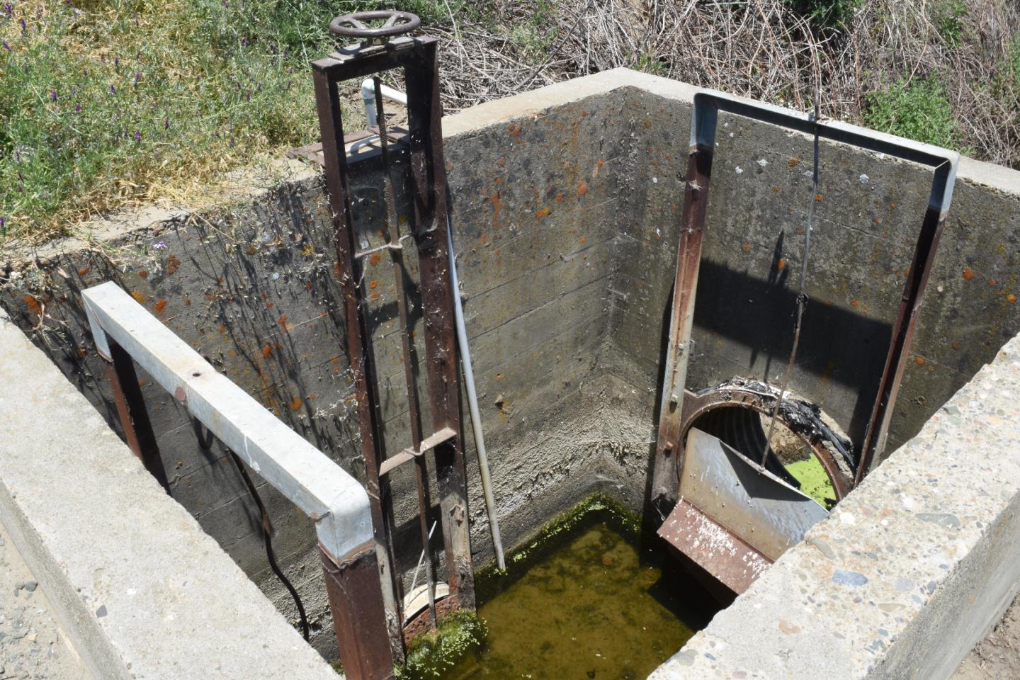 Detail Gallery Image 6 of 10 For 16071 Tyler Island Rd, Isleton,  CA 95641 - – Beds | – Baths