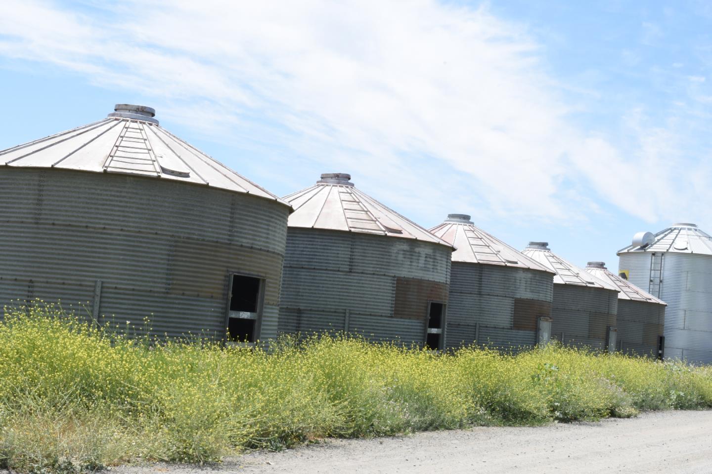 Detail Gallery Image 7 of 10 For 16071 Tyler Island Rd, Isleton,  CA 95641 - – Beds | – Baths