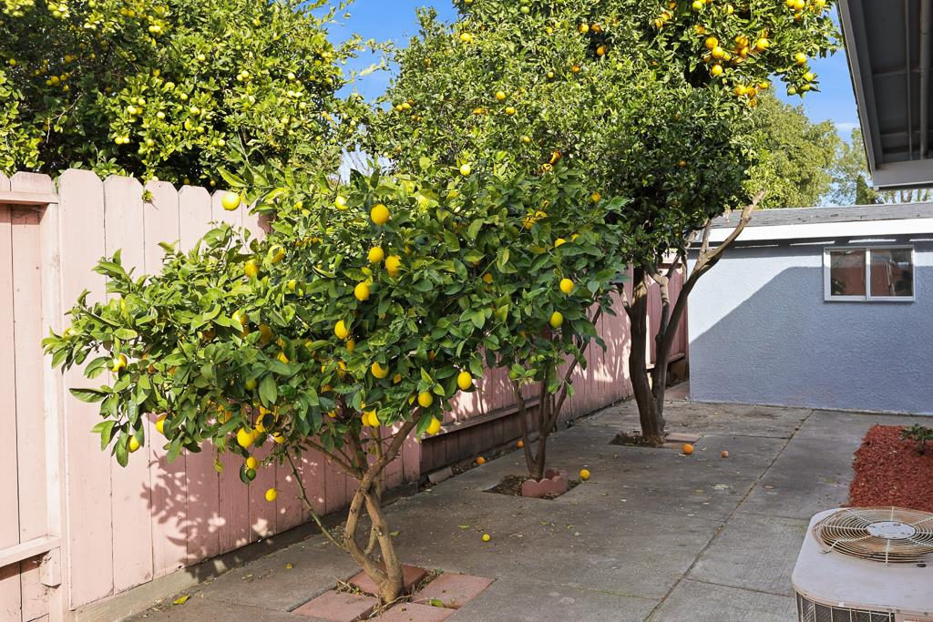 Detail Gallery Image 66 of 75 For 2675 Leeward St, Hayward,  CA 94545 - 4 Beds | 3 Baths