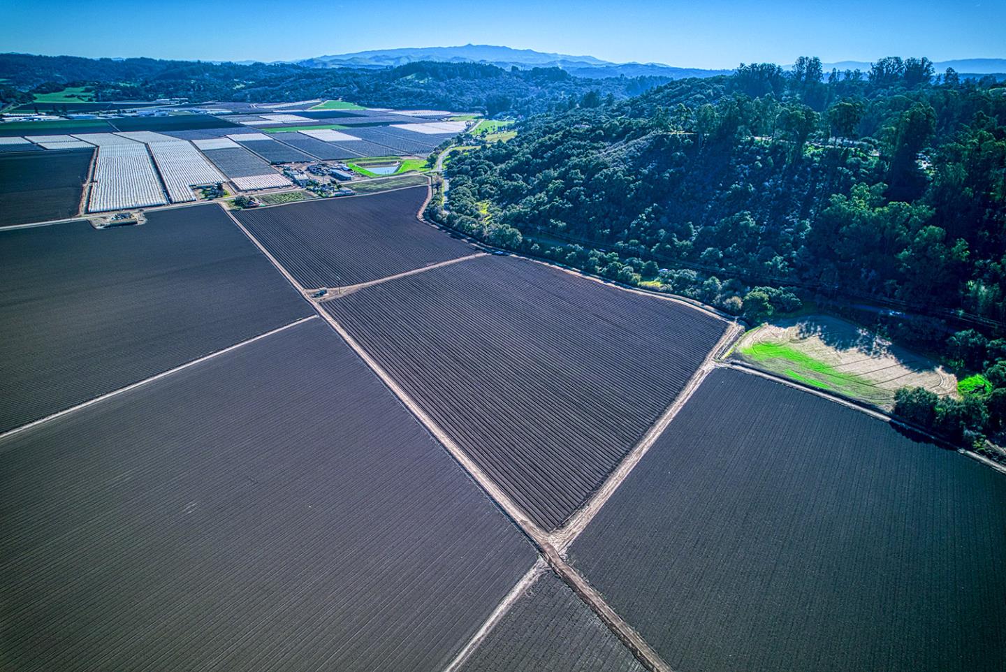 Detail Gallery Image 50 of 61 For 138 San Miguel Canyon Rd, Royal Oaks,  CA 95076 - 3 Beds | 2 Baths