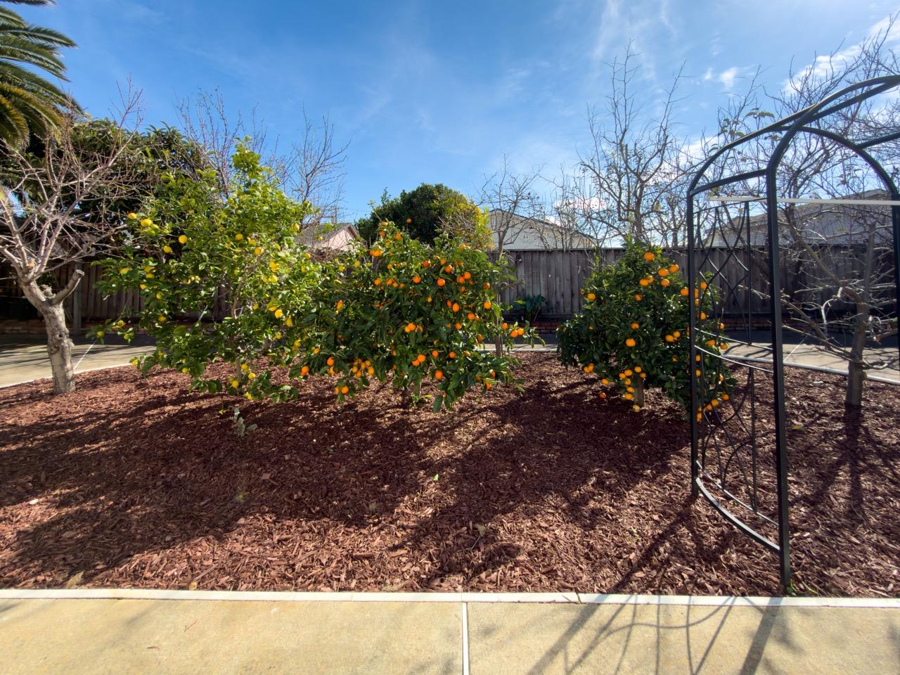 Detail Gallery Image 15 of 16 For 36255 Casey Ct, Newark,  CA 94560 - 3 Beds | 2 Baths