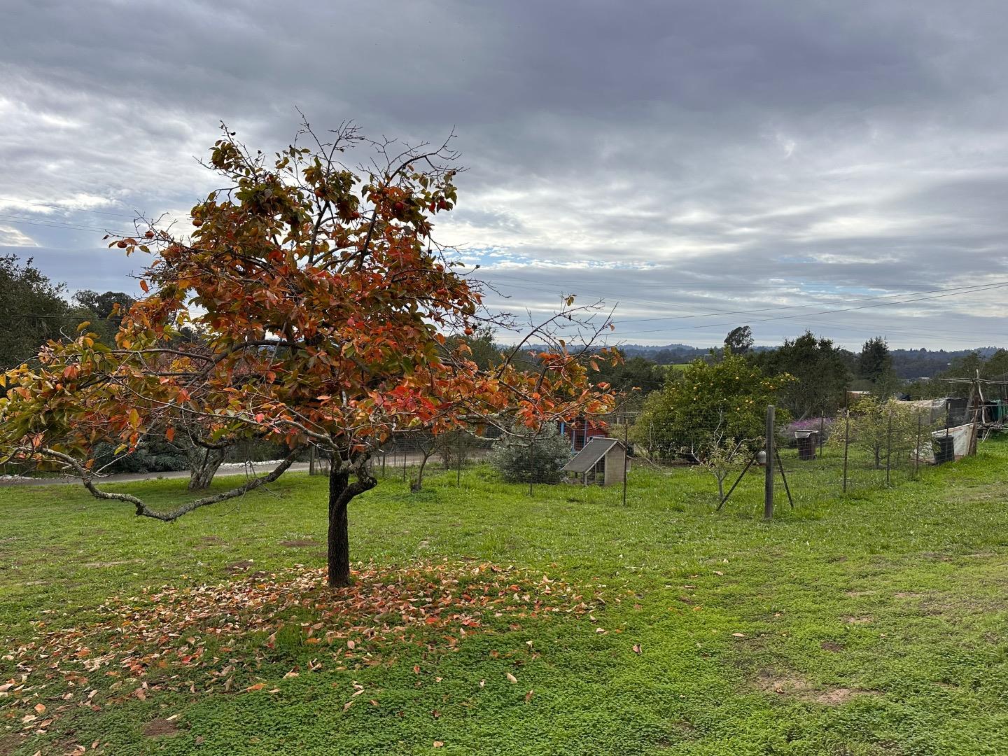 Detail Gallery Image 41 of 56 For 46 Valley View Rd, Watsonville,  CA 95076 - 5 Beds | 3 Baths