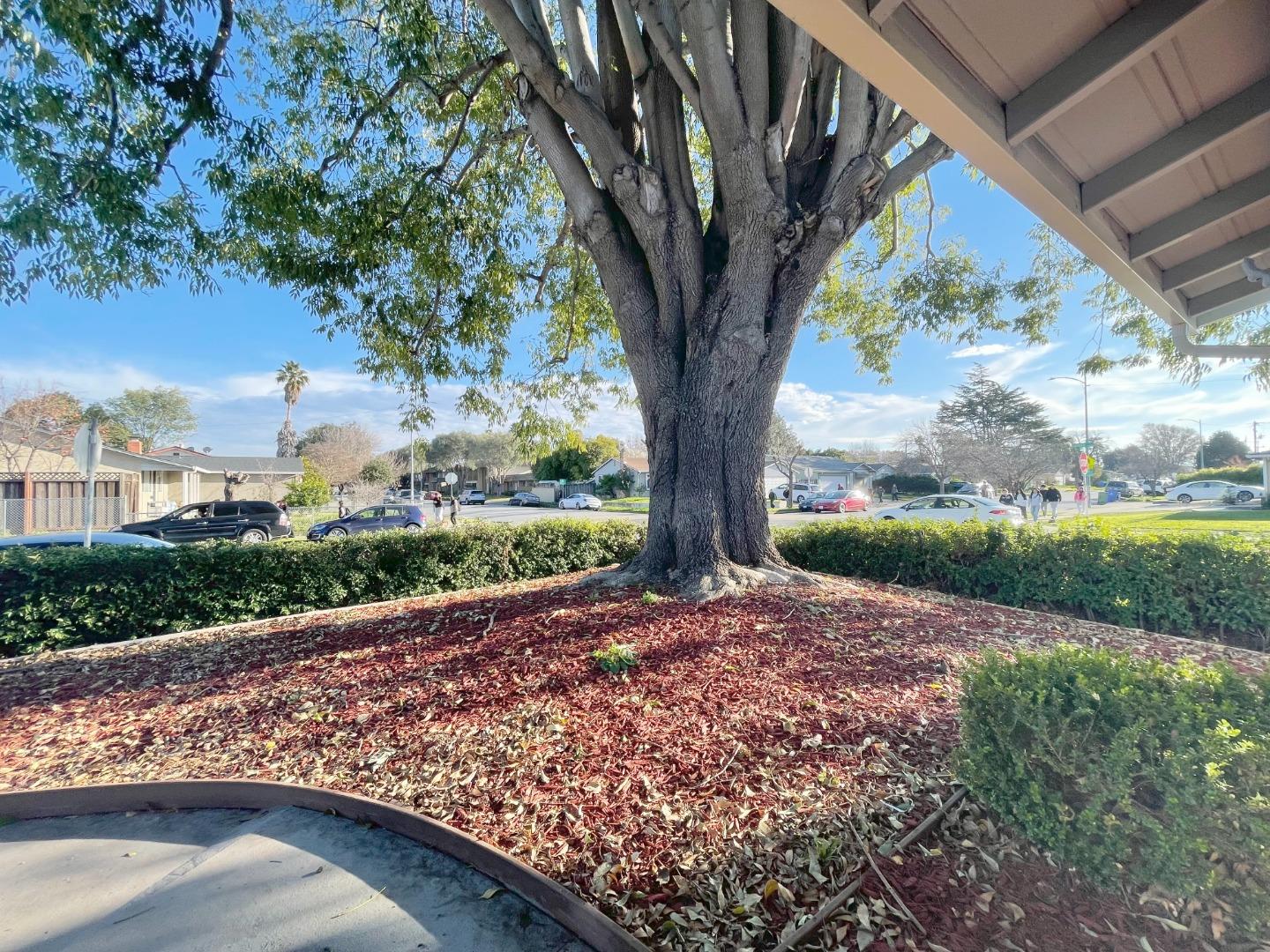 Detail Gallery Image 2 of 17 For 4879 Boone Dr, Fremont,  CA 94538 - 3 Beds | 2 Baths