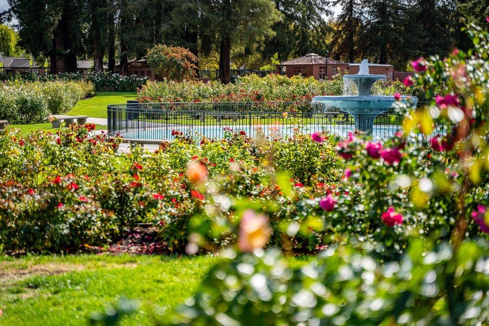 Detail Gallery Image 77 of 98 For 1555 Calaveras Ave, San Jose,  CA 95126 - 4 Beds | 2/1 Baths