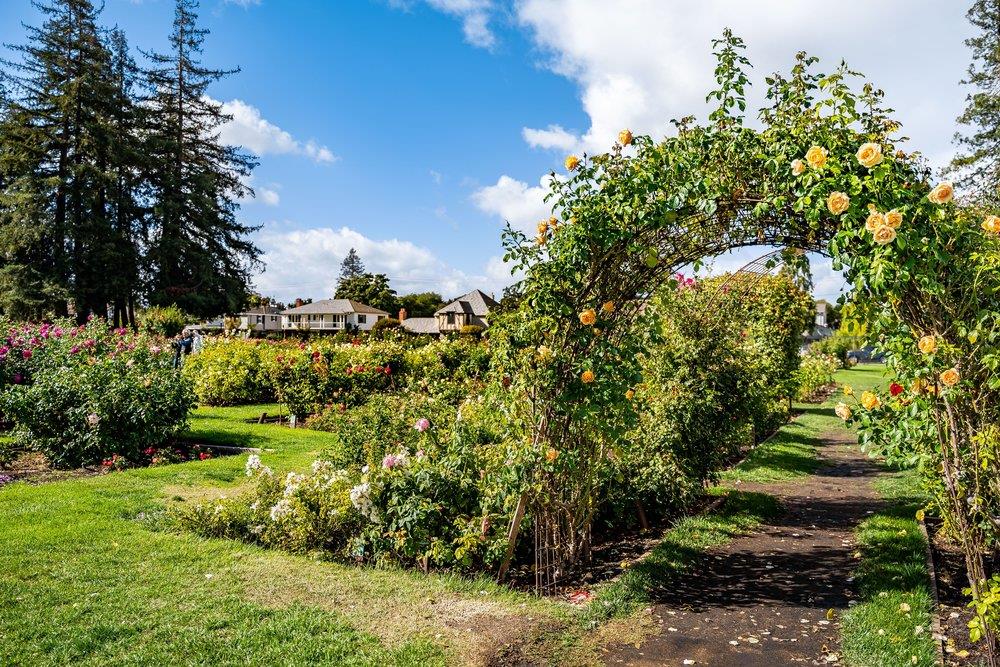 Detail Gallery Image 78 of 98 For 1555 Calaveras Ave, San Jose,  CA 95126 - 4 Beds | 2/1 Baths
