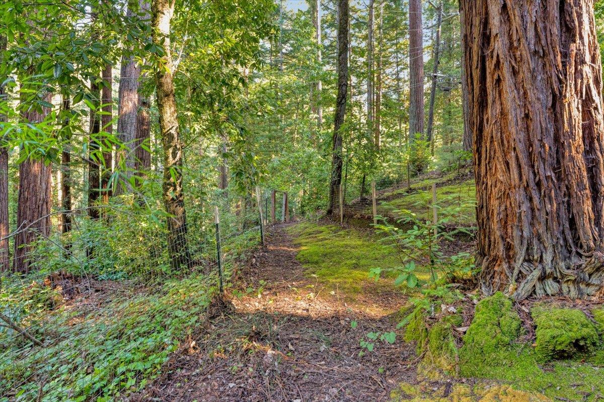 Detail Gallery Image 33 of 39 For 1079 Scenic Dr, Felton,  CA 95018 - 2 Beds | 2 Baths