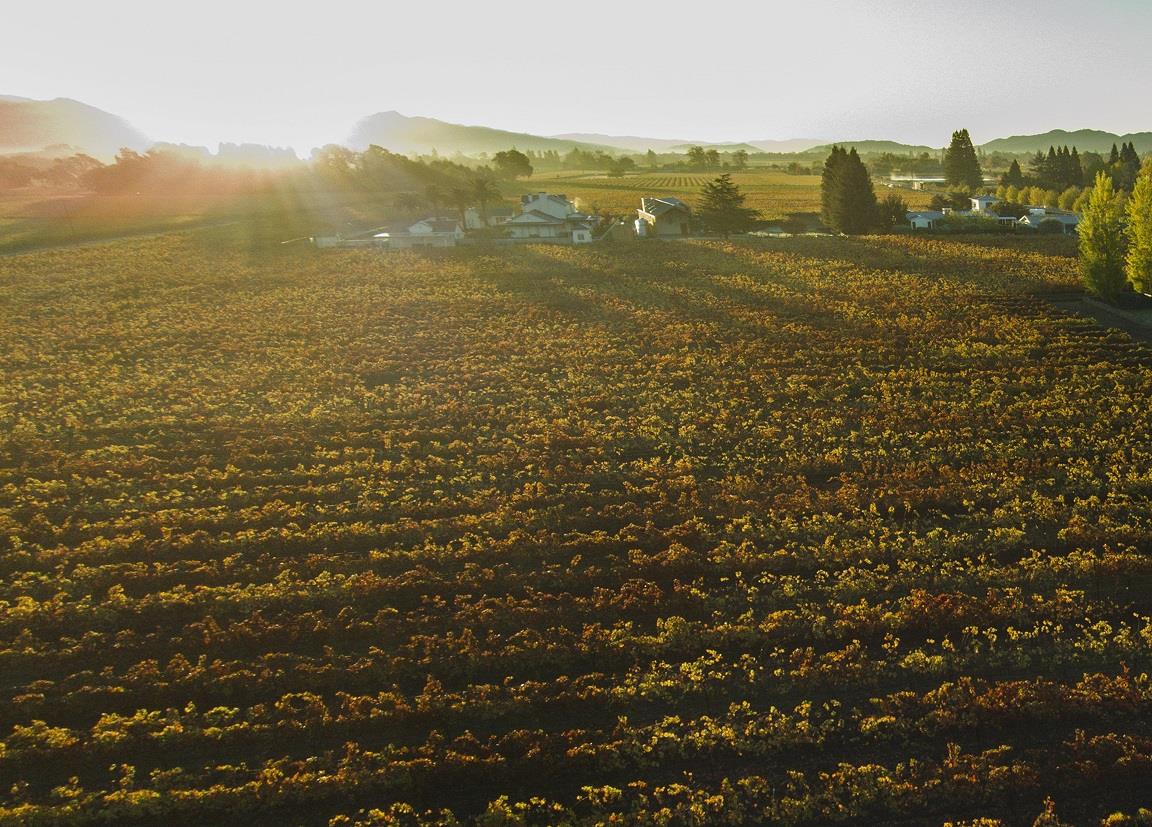 Detail Gallery Image 3 of 26 For 555 Zinfandel Ln, Saint Helena,  CA 94574 - 4 Beds | 4/1 Baths