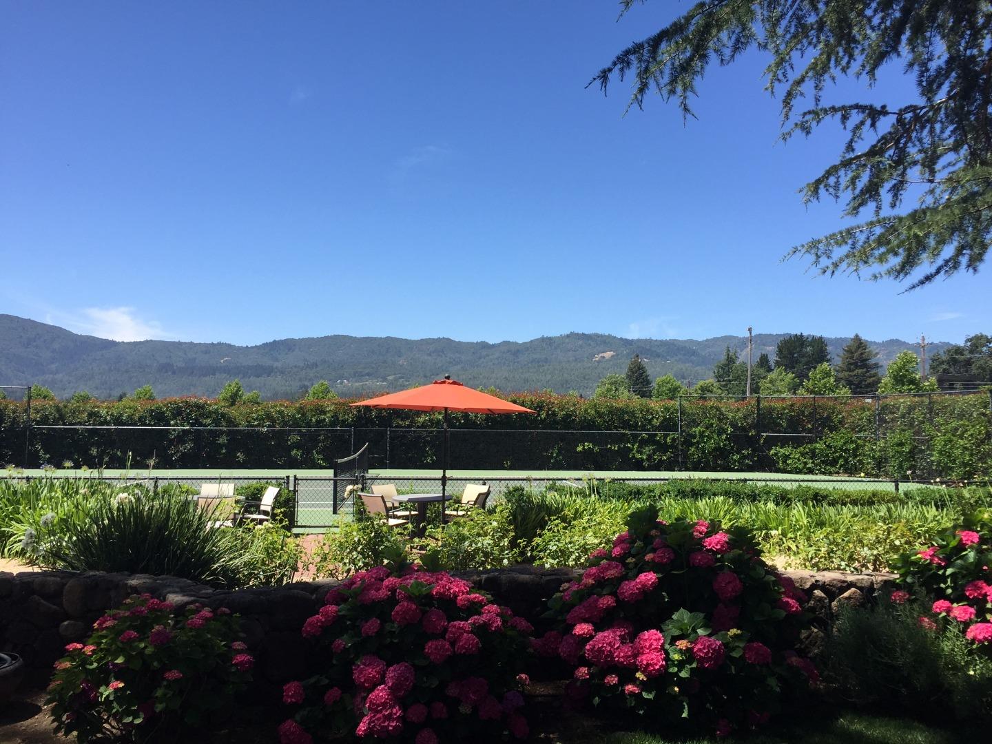 Detail Gallery Image 9 of 26 For 555 Zinfandel Ln, Saint Helena,  CA 94574 - 4 Beds | 4/1 Baths