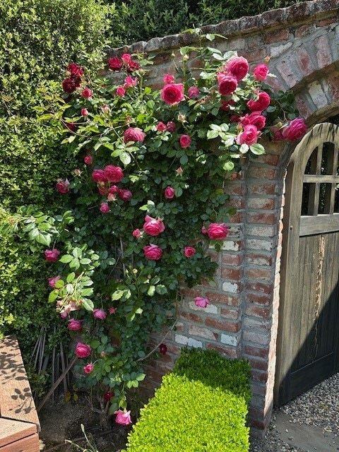 Detail Gallery Image 102 of 109 For 90 Melrose Pl, Redwood City,  CA 94062 - 4 Beds | 3/1 Baths