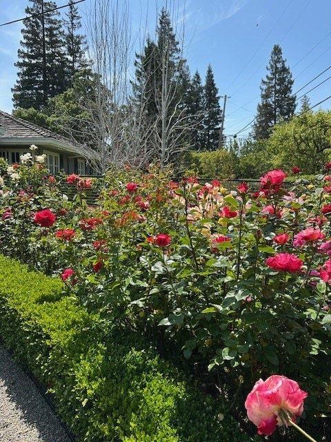 Detail Gallery Image 103 of 109 For 90 Melrose Pl, Redwood City,  CA 94062 - 4 Beds | 3/1 Baths