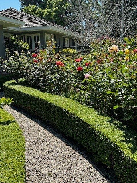 Detail Gallery Image 104 of 109 For 90 Melrose Pl, Redwood City,  CA 94062 - 4 Beds | 3/1 Baths