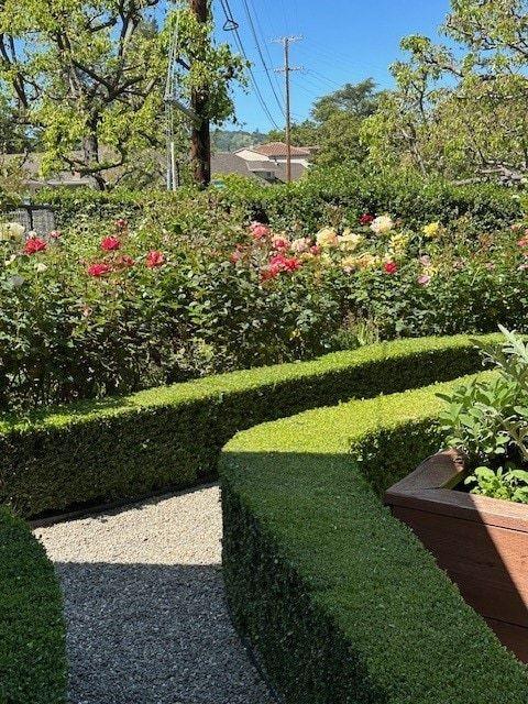 Detail Gallery Image 106 of 109 For 90 Melrose Pl, Redwood City,  CA 94062 - 4 Beds | 3/1 Baths