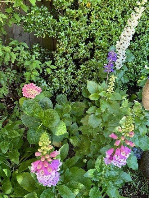 Detail Gallery Image 90 of 109 For 90 Melrose Pl, Redwood City,  CA 94062 - 4 Beds | 3/1 Baths