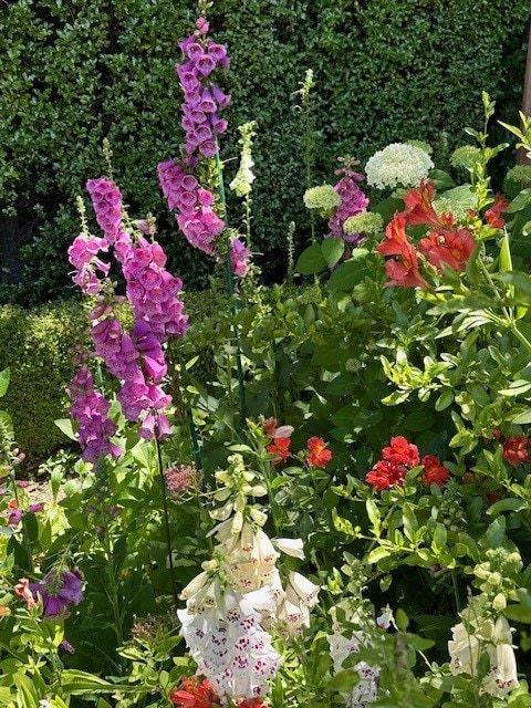 Detail Gallery Image 92 of 109 For 90 Melrose Pl, Redwood City,  CA 94062 - 4 Beds | 3/1 Baths