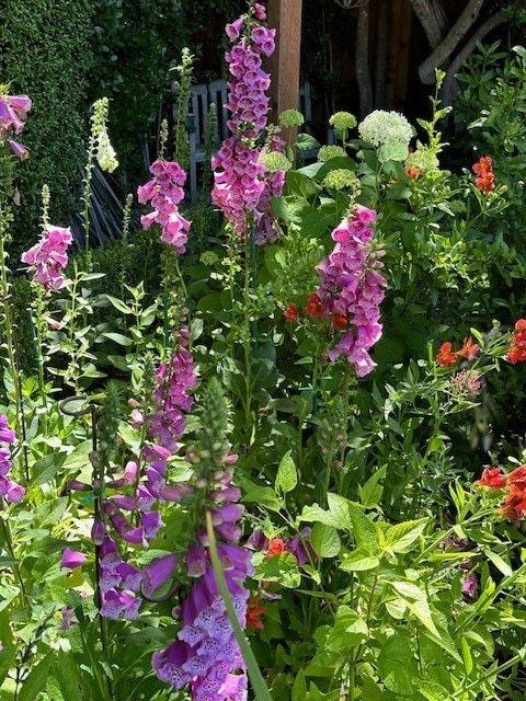 Detail Gallery Image 93 of 109 For 90 Melrose Pl, Redwood City,  CA 94062 - 4 Beds | 3/1 Baths