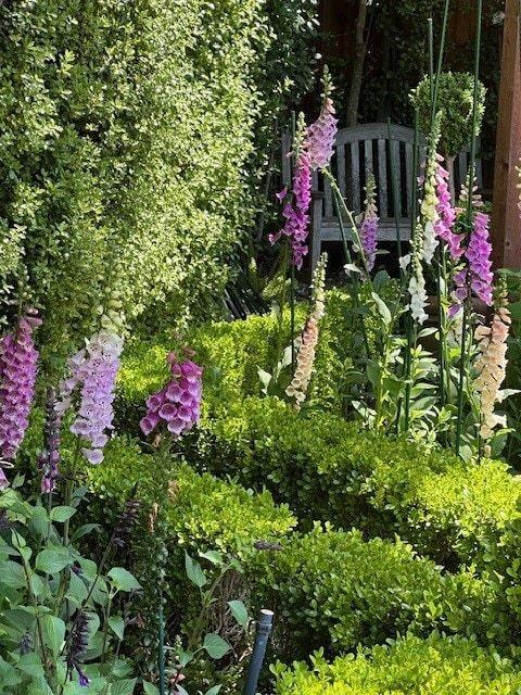 Detail Gallery Image 95 of 109 For 90 Melrose Pl, Redwood City,  CA 94062 - 4 Beds | 3/1 Baths