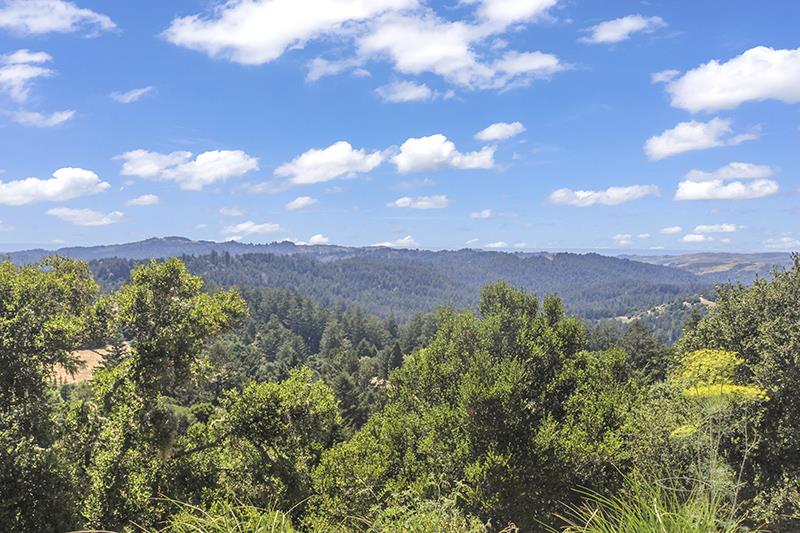 Detail Gallery Image 37 of 39 For 7405 Alpine Rd, La Honda,  CA 94020 - 4 Beds | 2/1 Baths