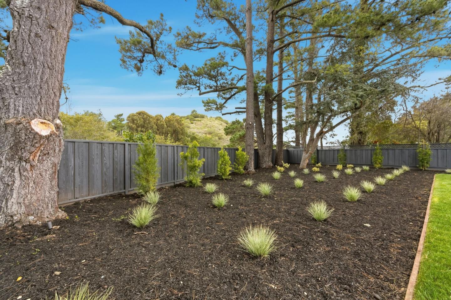 Detail Gallery Image 40 of 42 For 1907 Ticonderoga Dr, San Mateo,  CA 94402 - 4 Beds | 2/1 Baths