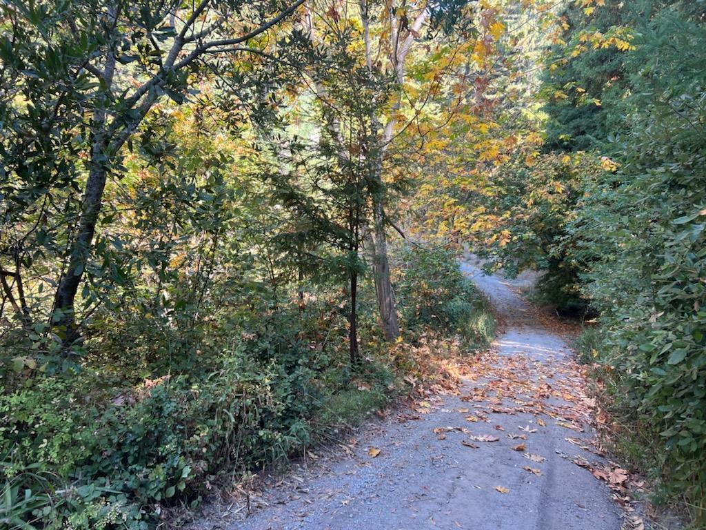 Detail Gallery Image 10 of 35 For 1385 Amaya Ridge Rd, Soquel,  CA 95073 - – Beds | – Baths