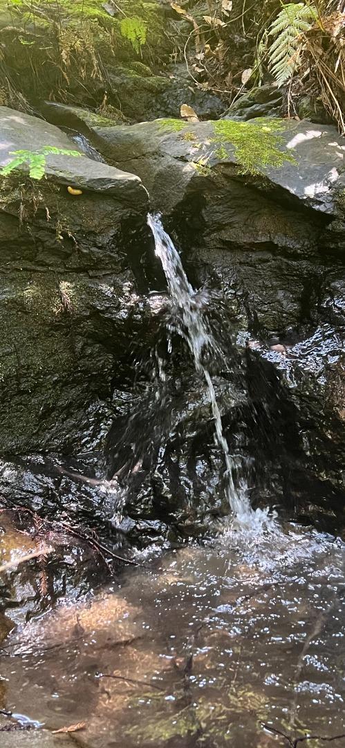 Detail Gallery Image 26 of 35 For 1385 Amaya Ridge Rd, Soquel,  CA 95073 - – Beds | – Baths