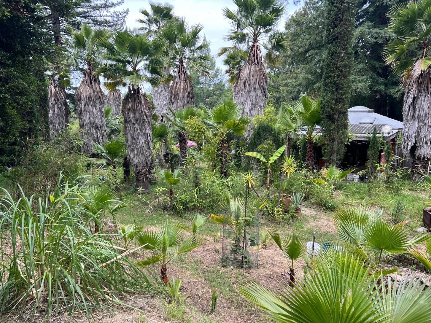 Detail Gallery Image 27 of 35 For 1385 Amaya Ridge Rd, Soquel,  CA 95073 - – Beds | – Baths