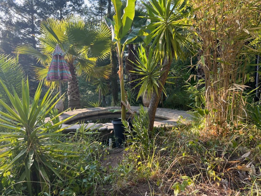 Detail Gallery Image 28 of 35 For 1385 Amaya Ridge Rd, Soquel,  CA 95073 - – Beds | – Baths