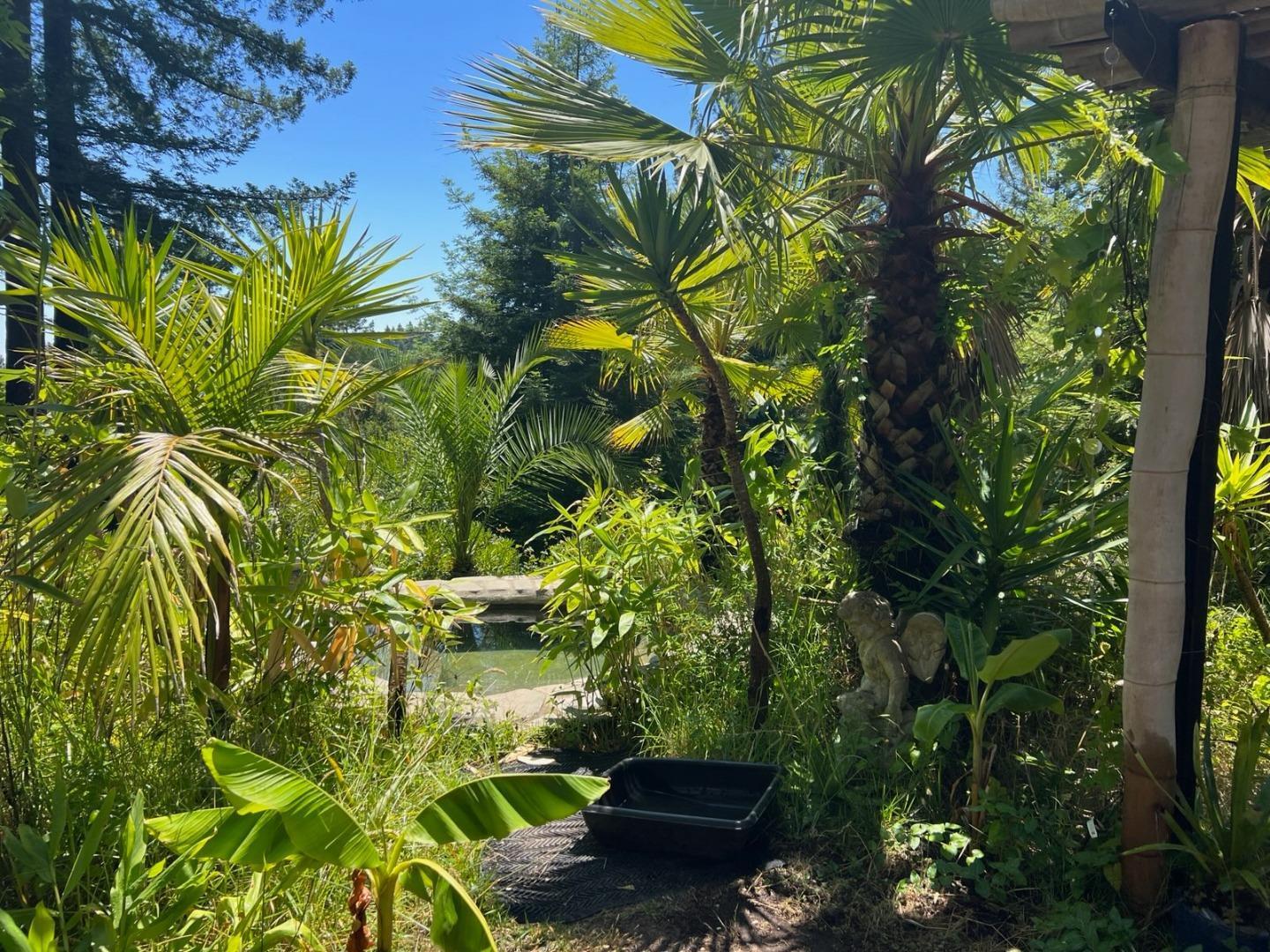 Detail Gallery Image 31 of 35 For 1385 Amaya Ridge Rd, Soquel,  CA 95073 - – Beds | – Baths