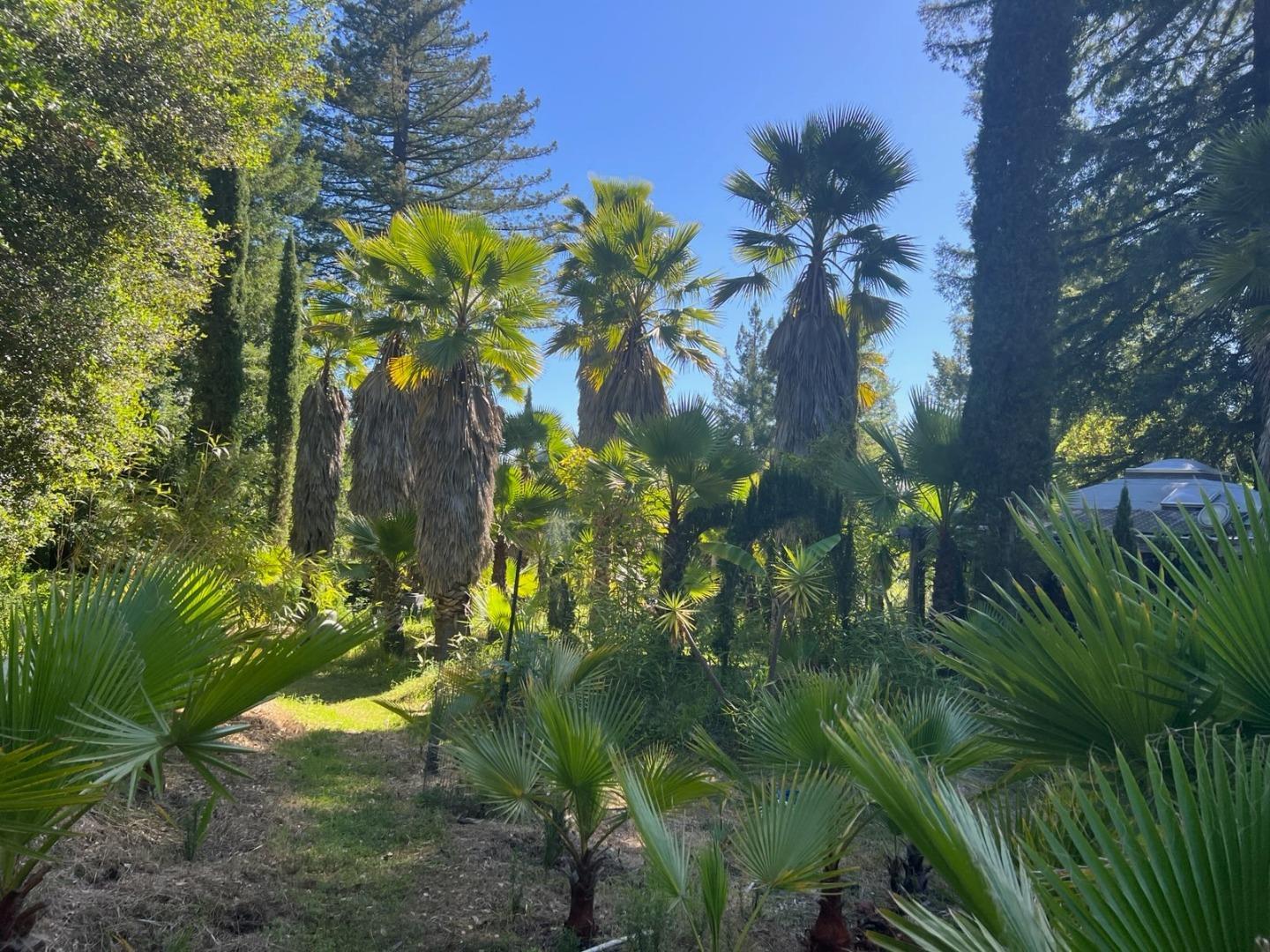 Detail Gallery Image 32 of 35 For 1385 Amaya Ridge Rd, Soquel,  CA 95073 - – Beds | – Baths