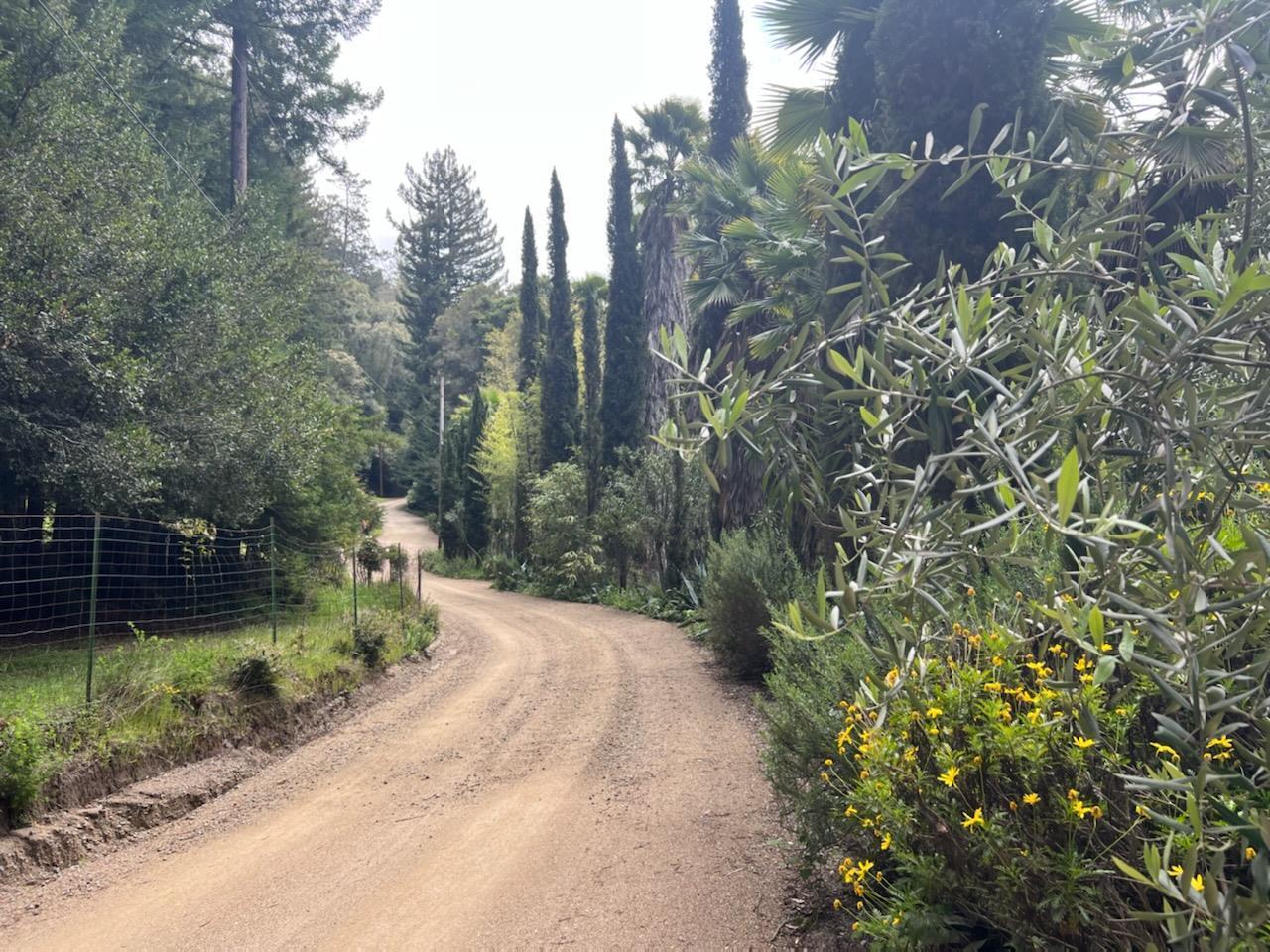 Detail Gallery Image 5 of 35 For 1385 Amaya Ridge Rd, Soquel,  CA 95073 - – Beds | – Baths