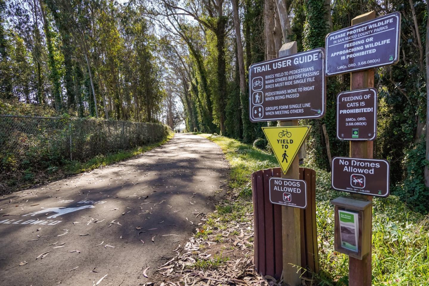 Detail Gallery Image 60 of 63 For 158 Treeview Dr, Daly City,  CA 94014 - 3 Beds | 2/1 Baths