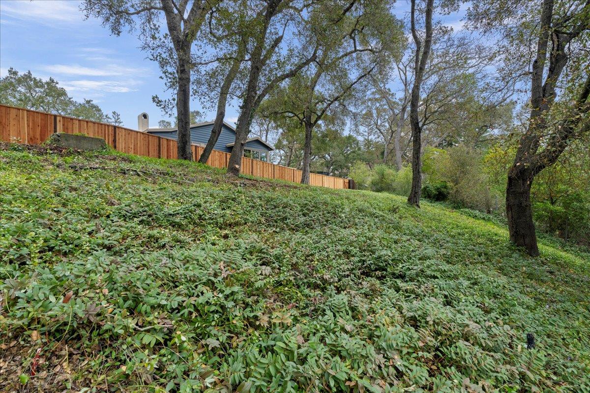 Detail Gallery Image 11 of 32 For 16235 W Ellenwood Ave, Monte Sereno,  CA 95030 - – Beds | – Baths