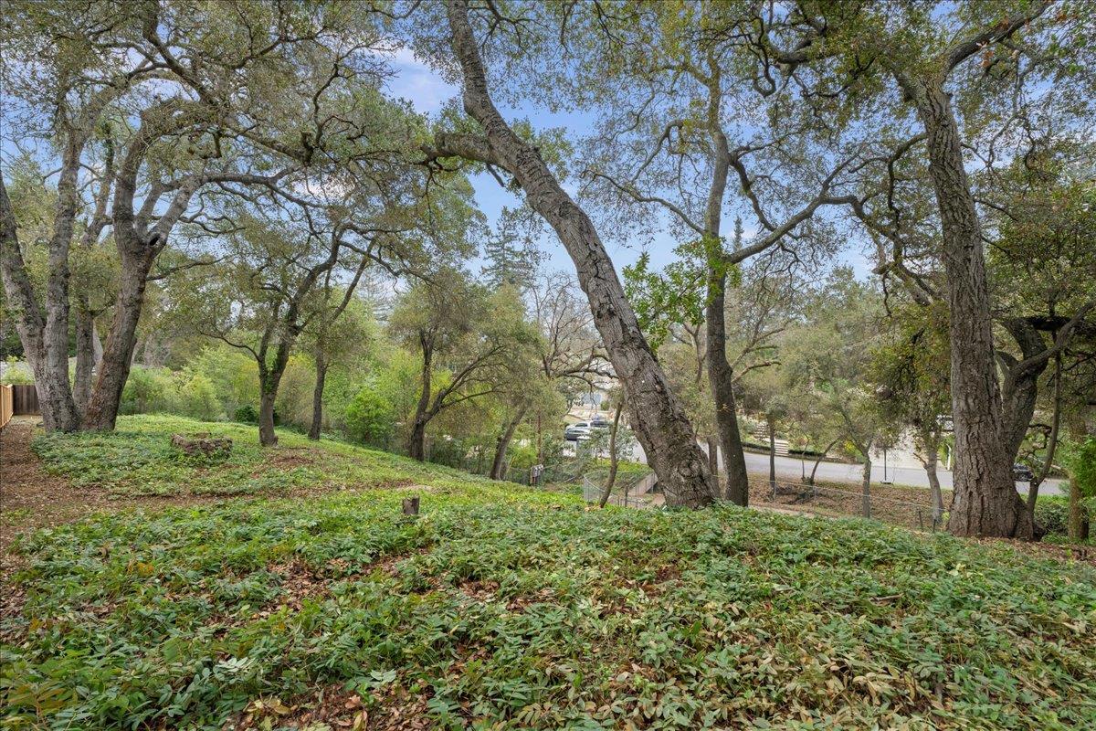 Detail Gallery Image 12 of 32 For 16235 W Ellenwood Ave, Monte Sereno,  CA 95030 - – Beds | – Baths