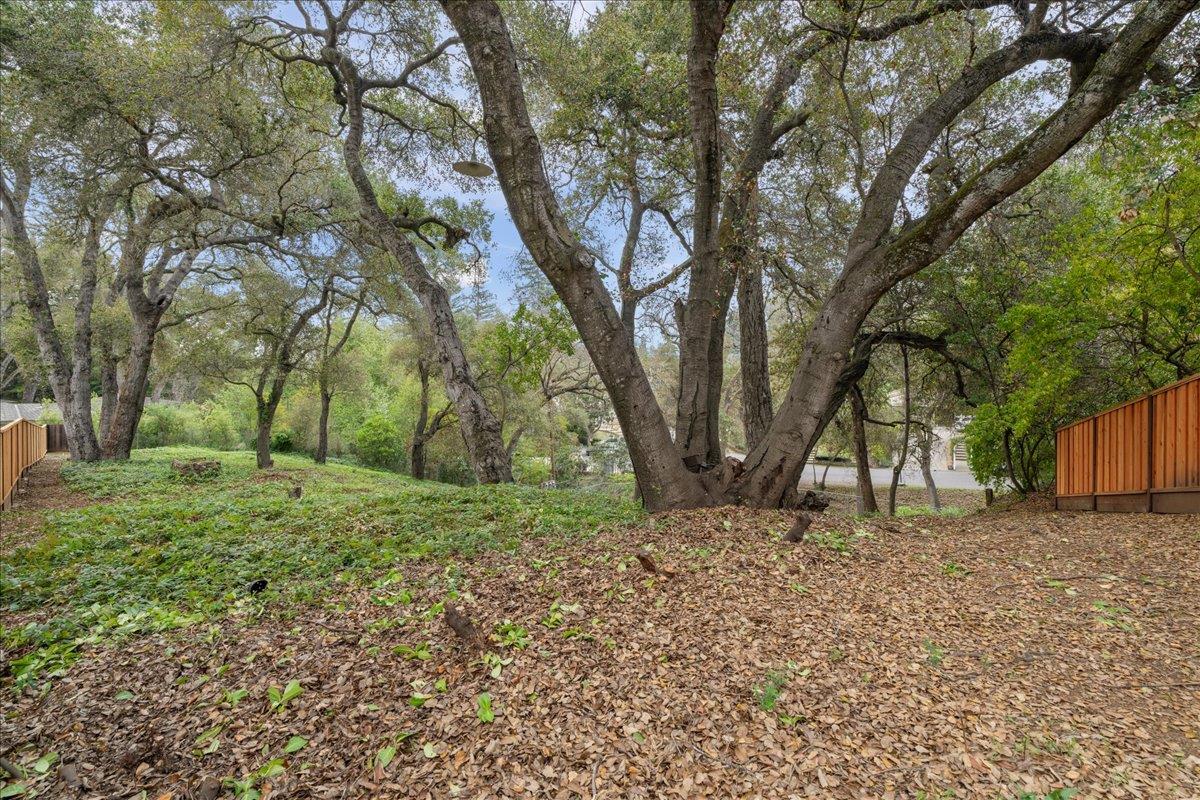 Detail Gallery Image 13 of 32 For 16235 W Ellenwood Ave, Monte Sereno,  CA 95030 - – Beds | – Baths