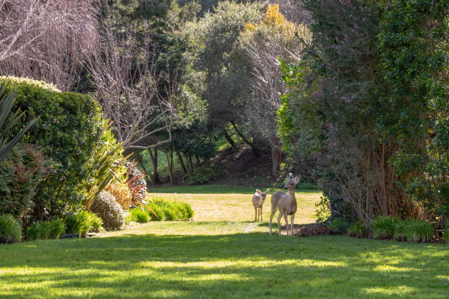 Detail Gallery Image 22 of 22 For 9542 Maple Ct, Carmel,  CA 93923 - 2 Beds | 0 Baths