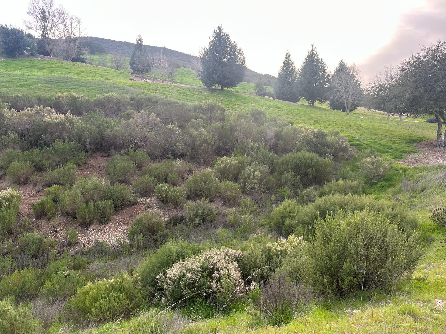 Detail Gallery Image 5 of 6 For 44726 Sun Valley Dr, King City,  CA 93930 - – Beds | – Baths