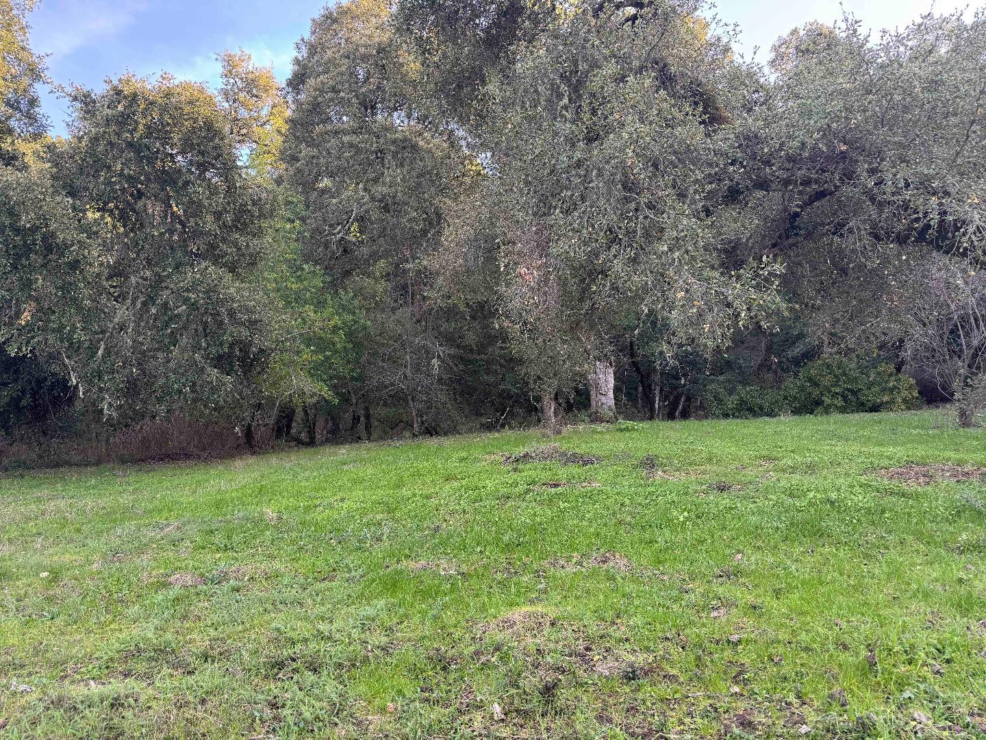 Detail Gallery Image 3 of 5 For 0-250 Heacox, Woodside,  CA 94062 - – Beds | – Baths