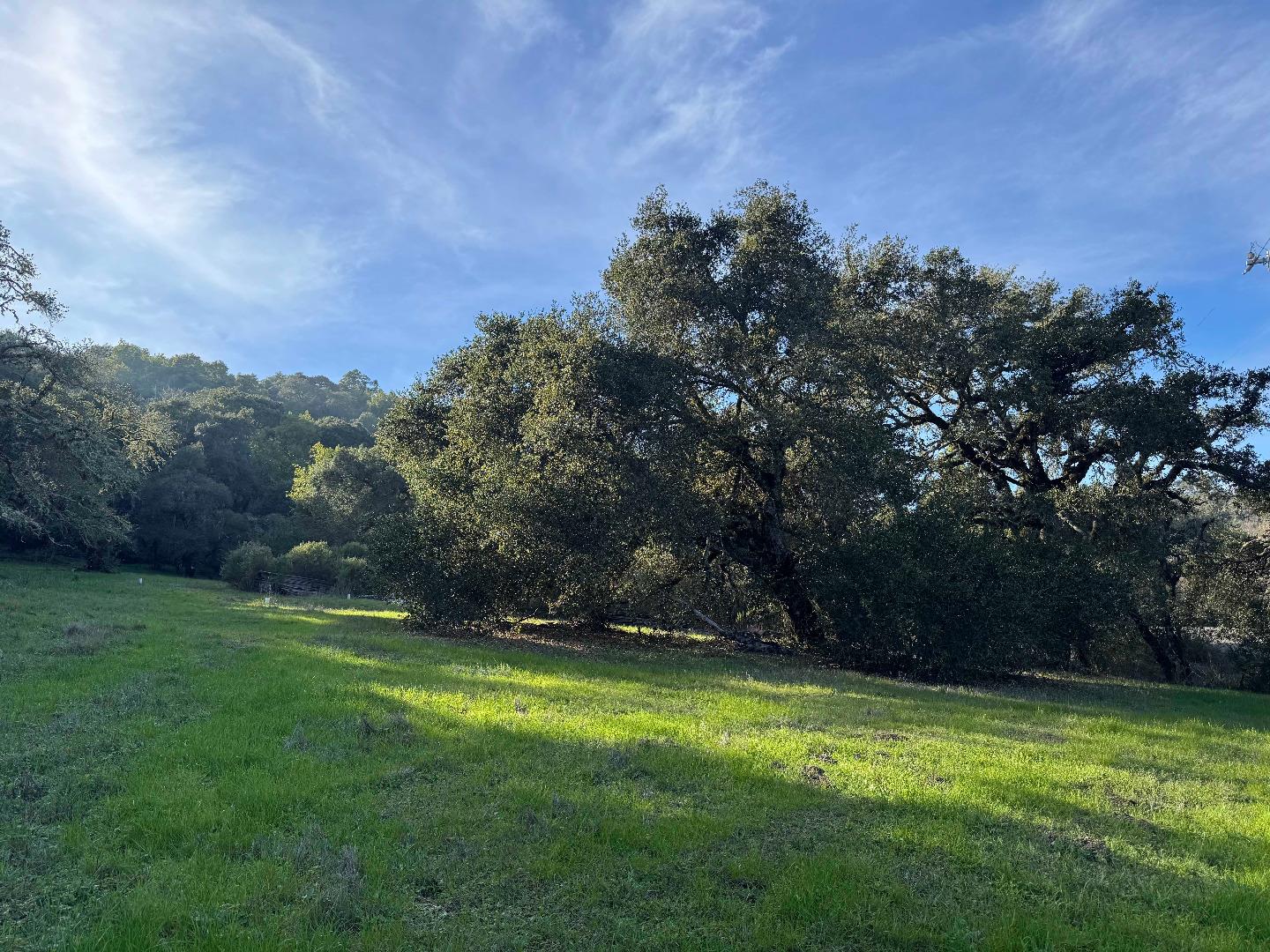 Detail Gallery Image 6 of 6 For 0-250 Heacox, Woodside,  CA 94062 - – Beds | – Baths