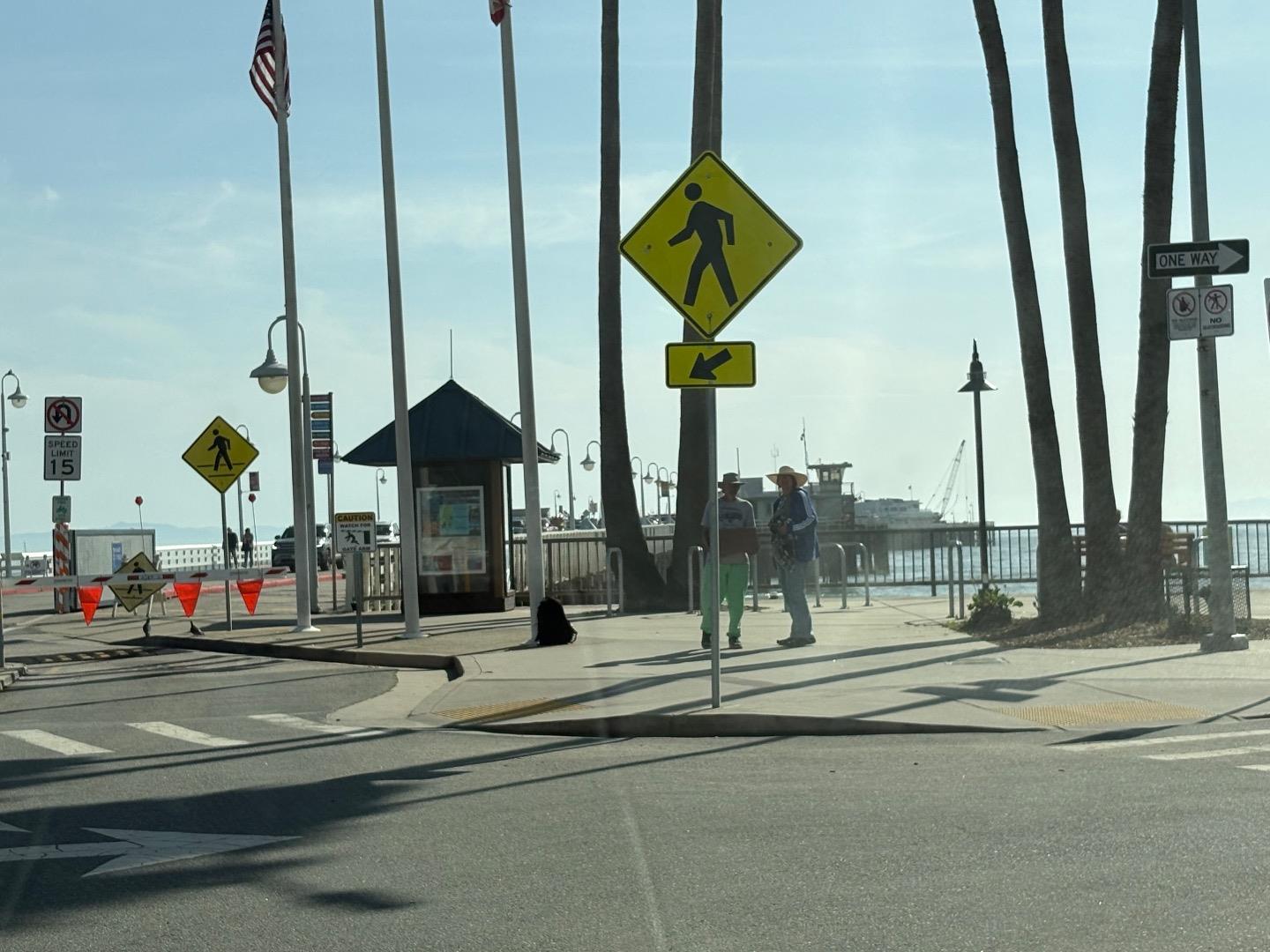 Detail Gallery Image 22 of 25 For 313 Raymond St, Santa Cruz,  CA 95060 - – Beds | – Baths