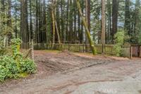 Front Image Thumbnail for ML82033341